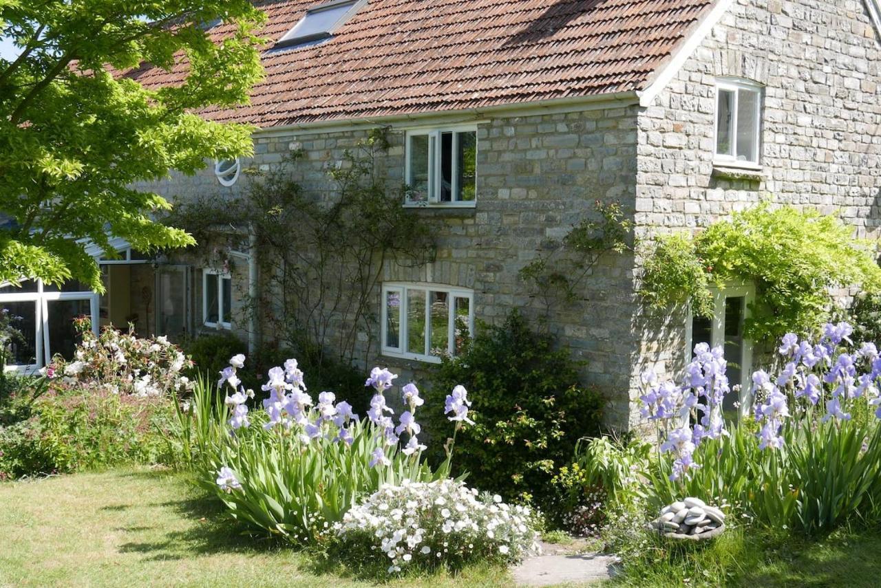 The Potting Shed, Self Contained, Detached Retreat In Shapwick Village Exterior photo